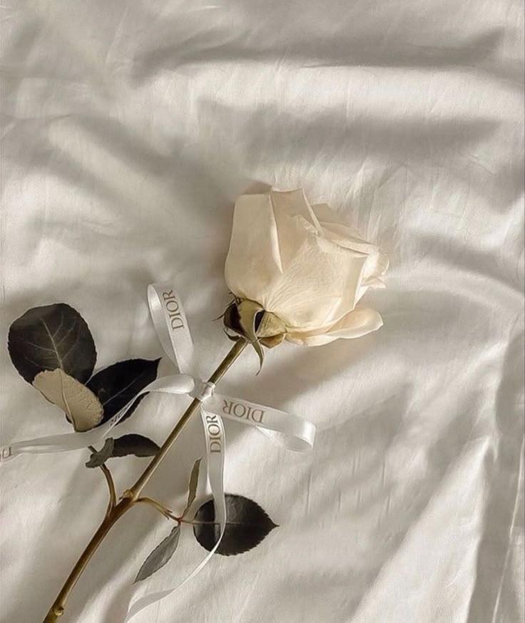 Corporate meeting room with carefully timed floral arrangements that maintain elegance throughout business hours